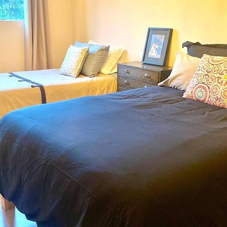 Amazing Cozy Apartment In Condesa 墨西哥城 外观 照片