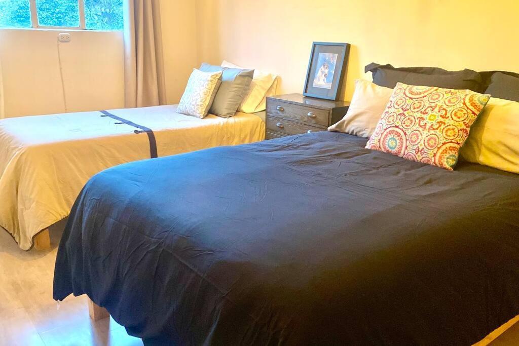 Amazing Cozy Apartment In Condesa 墨西哥城 外观 照片