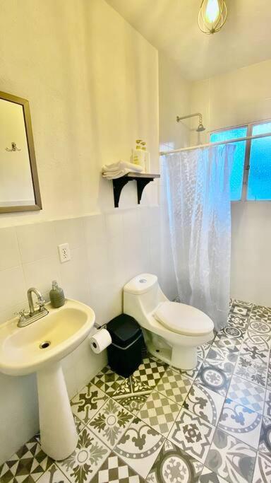 Amazing Cozy Apartment In Condesa 墨西哥城 外观 照片