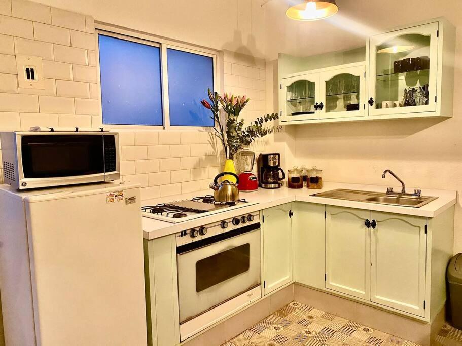 Amazing Cozy Apartment In Condesa 墨西哥城 外观 照片