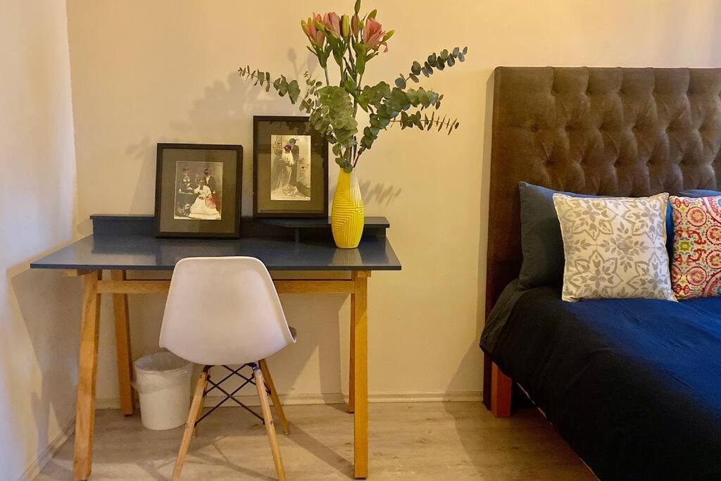 Amazing Cozy Apartment In Condesa 墨西哥城 外观 照片